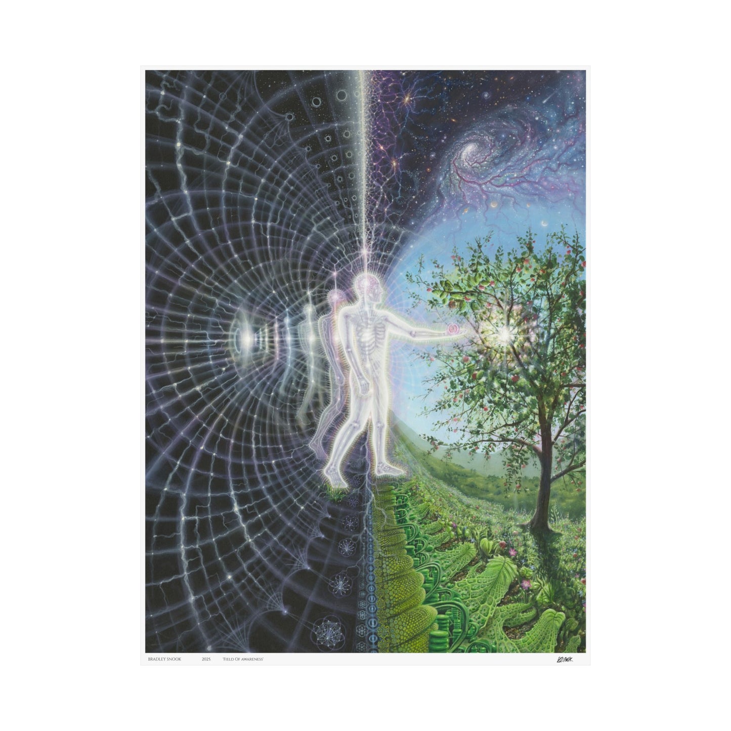 'Field Of Awareness' fine art print