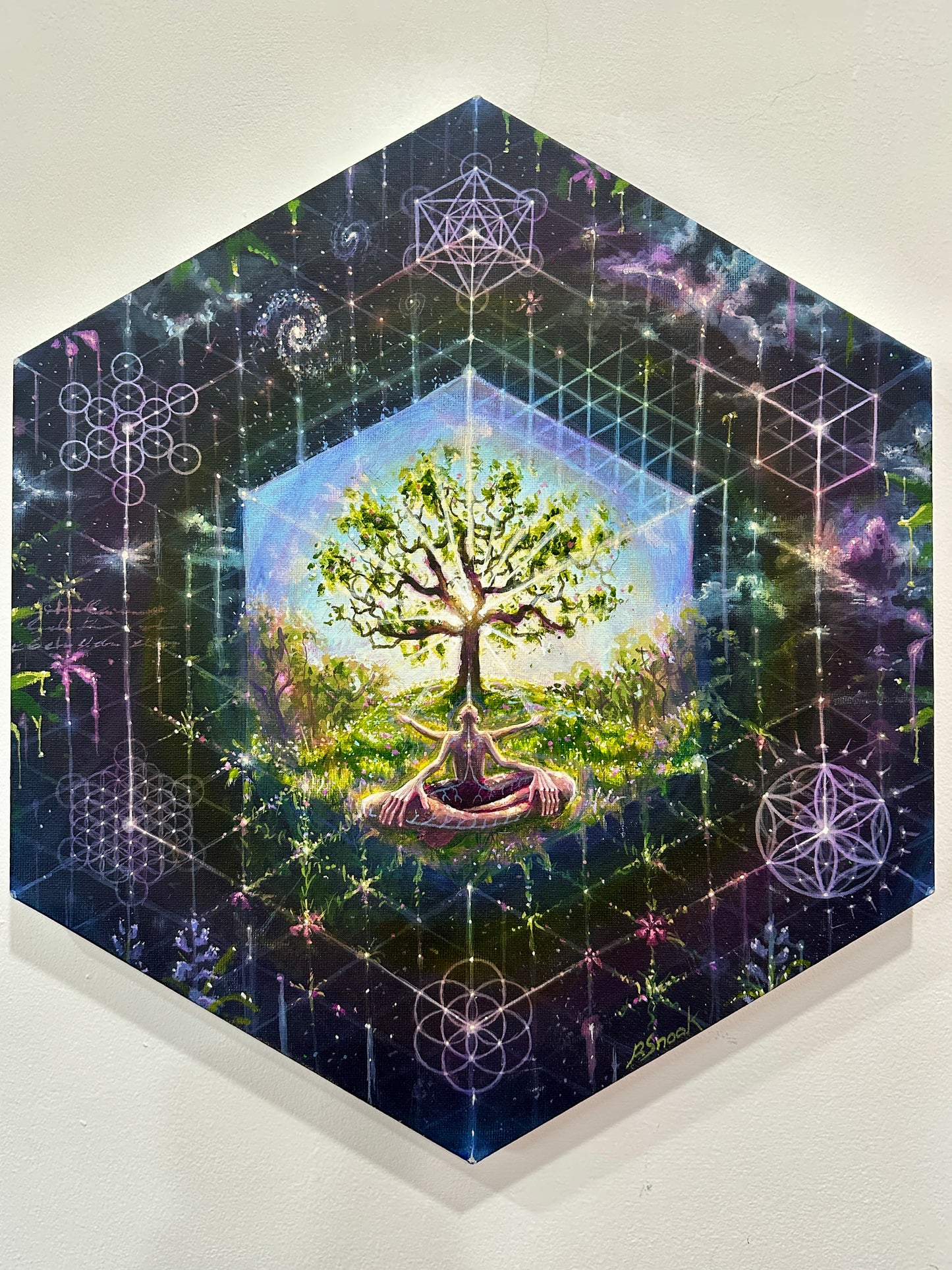‘The Holograms Code’