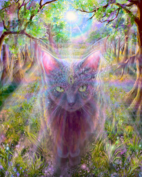 ‘Cats Know’ giclee paper print